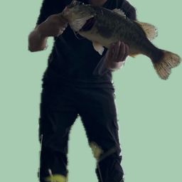 ブラックバス