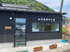 サゴシの釣果
