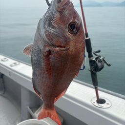 タイ