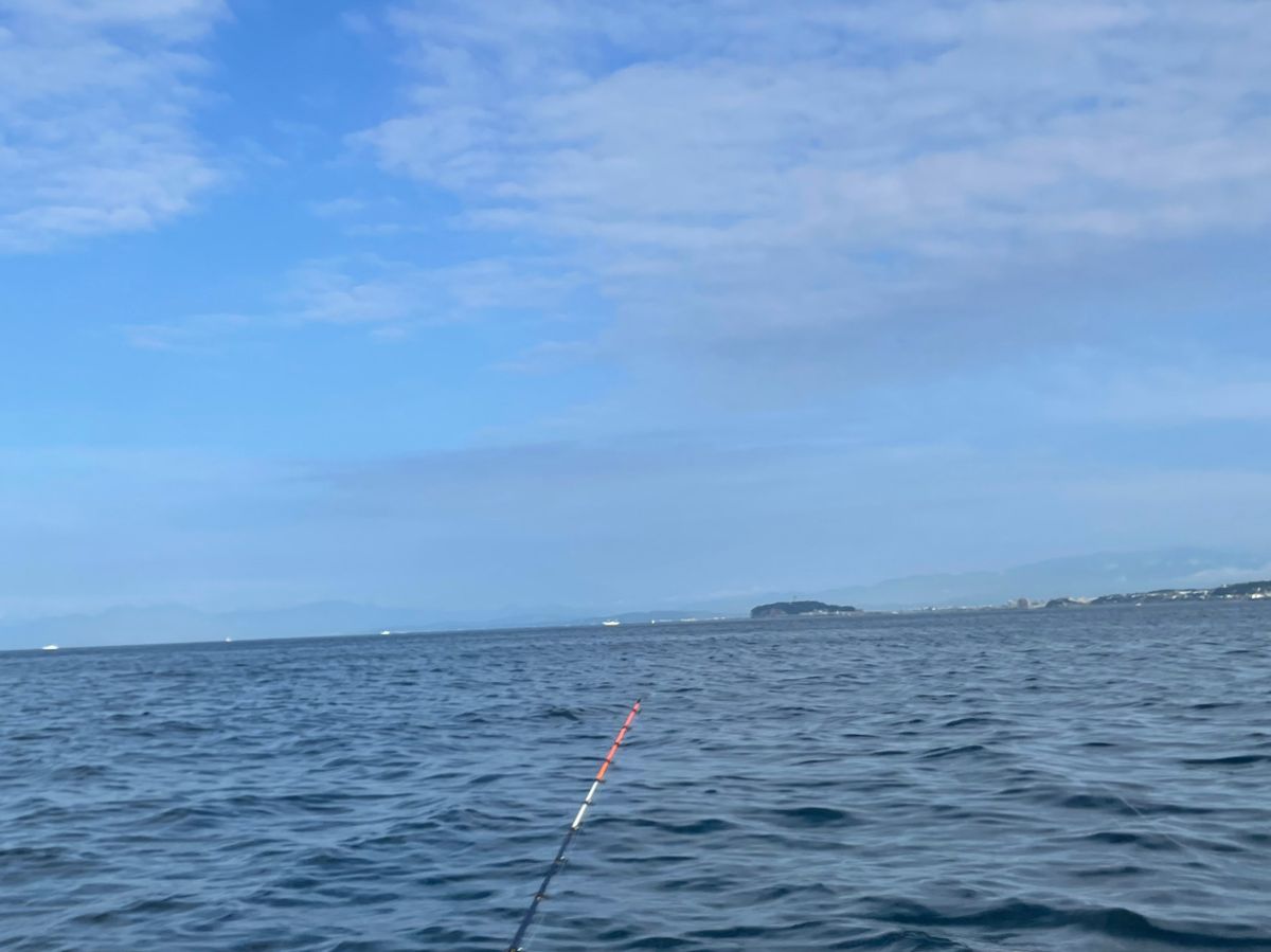 金沢八景のつり吉さんの釣果 3枚目の画像