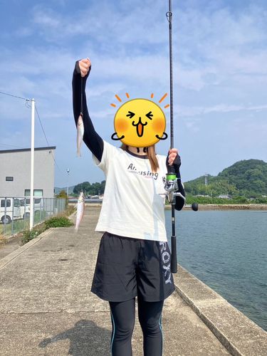 キスの釣果