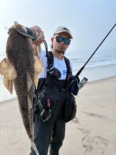 マゴチの釣果