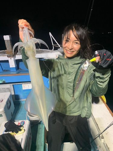 ケンサキイカの釣果
