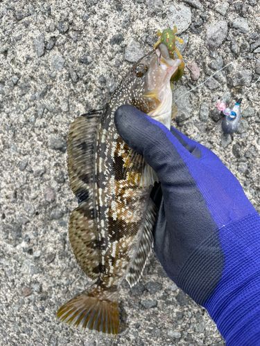 釣果