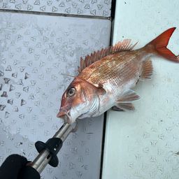 タイ