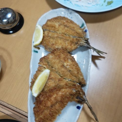 シロイカの釣果