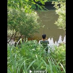 ブラックバス