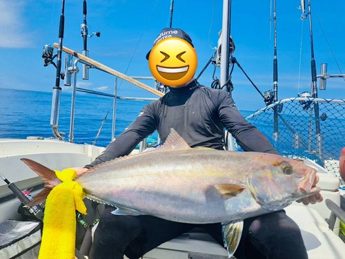 カンパチの釣果