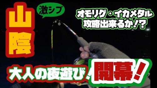 シロイカの釣果