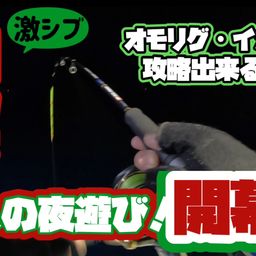シロイカ
