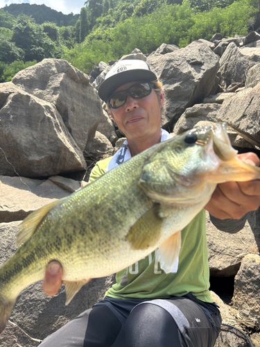 ブラックバスの釣果