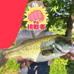 ブラックバス
