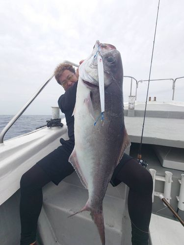メダイの釣果