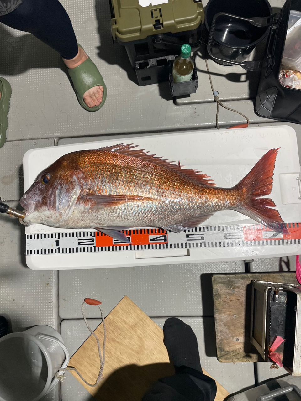田畑良朗@なつき丸さんの釣果 2枚目の画像