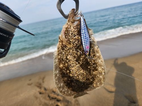 ソゲの釣果