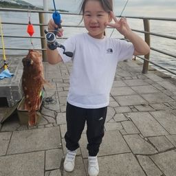 ガシラ