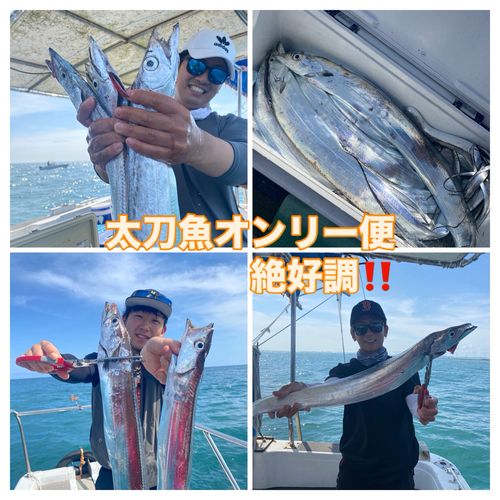 タチウオの釣果