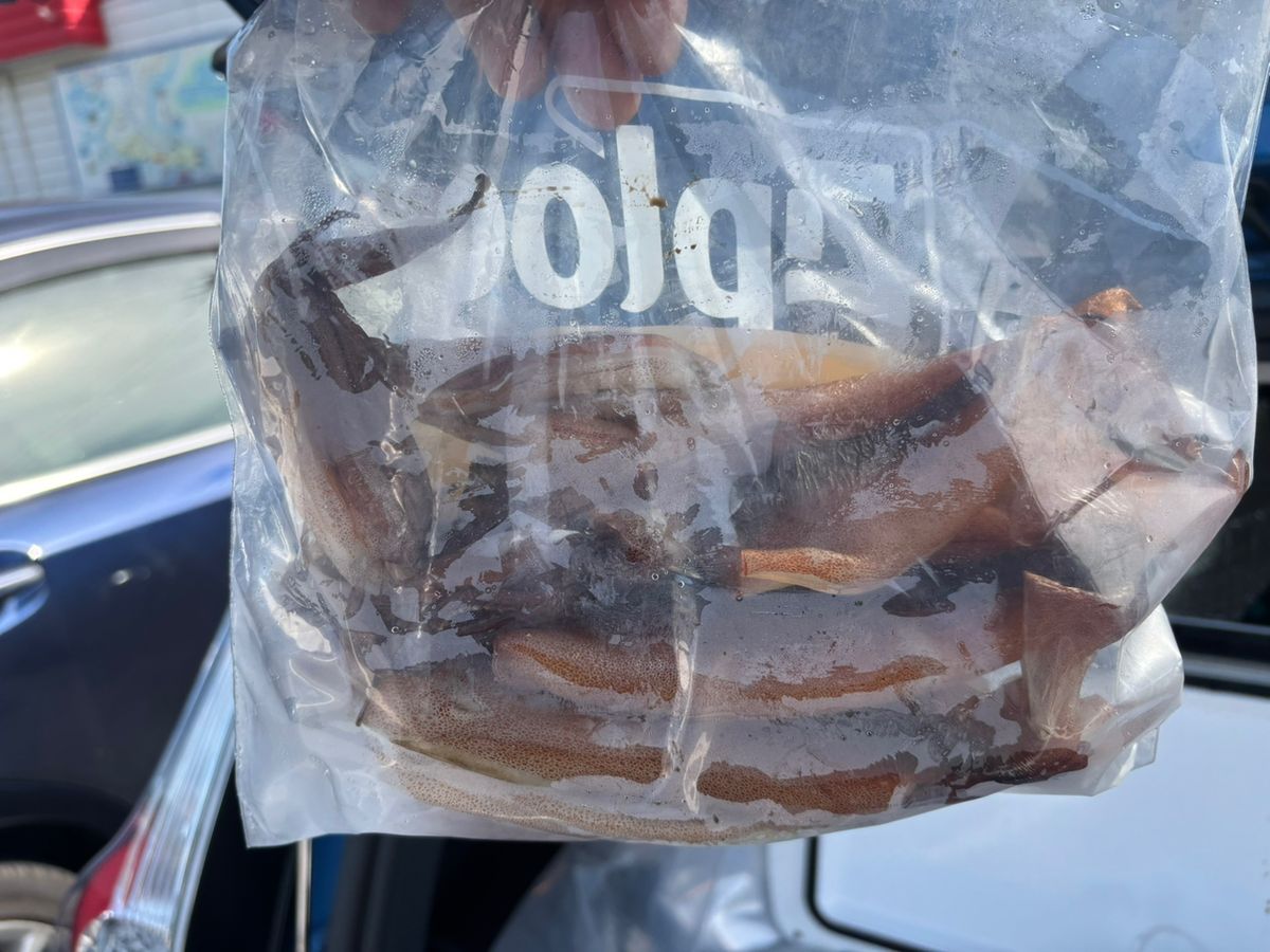 detakaさんの釣果 2枚目の画像