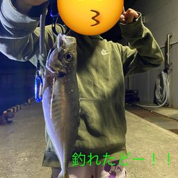 アジ