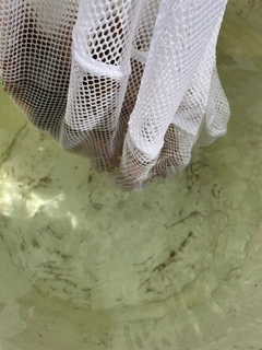 マダコの釣果