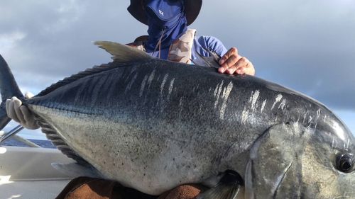 GTの釣果