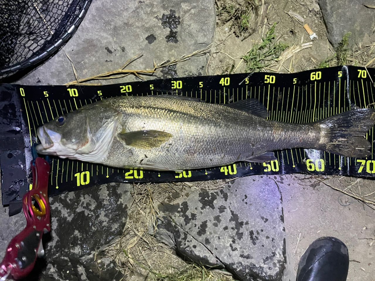 ★☆【シマノ】 20ルナミス S96ML SHIMANO LUNAMIS シーバス チヌ K_190★☆v31084 シマノ】 20ルナミス S96ML SHIMANO LUNAMIS シーバス チヌ
