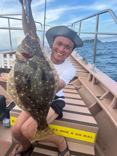 ヒラメの釣果