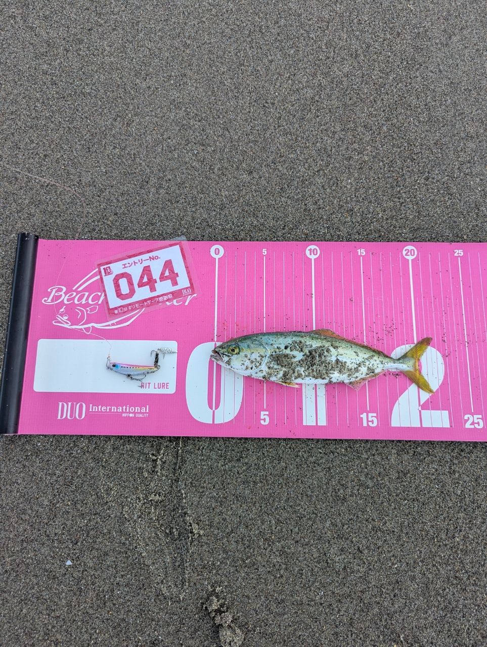 ワカシ
