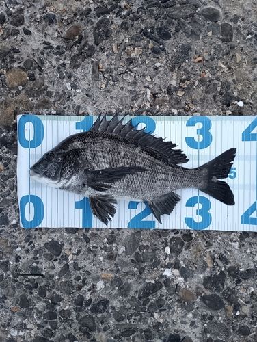 釣果