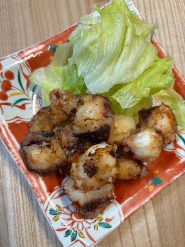 タコの釣果