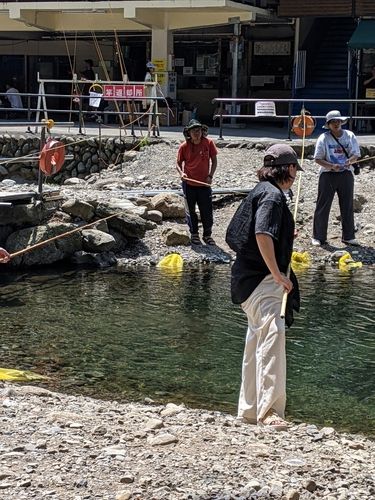 ニジマスの釣果
