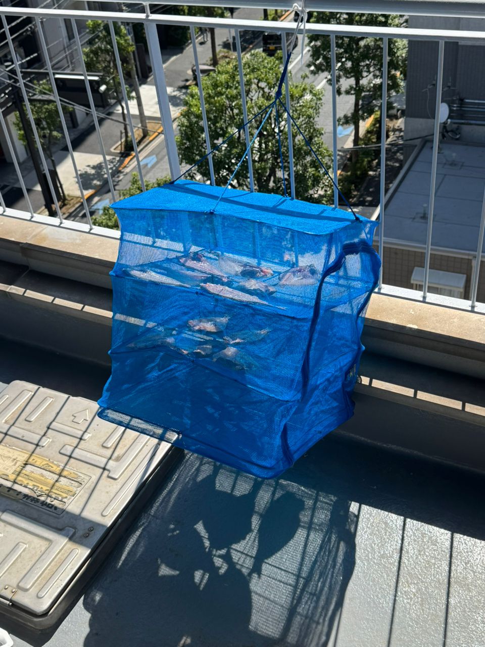 kunchanさんの釣果 3枚目の画像