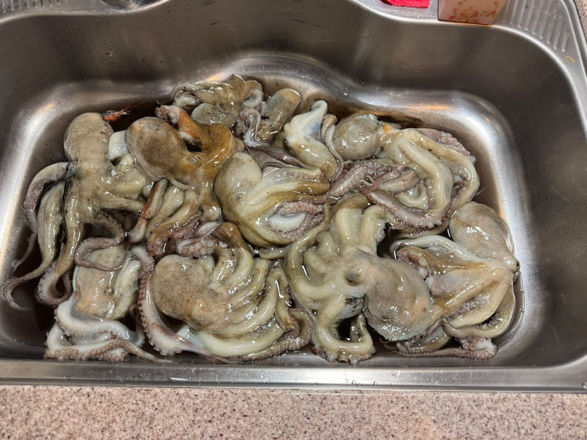 kunchanさんの釣果 2枚目の画像