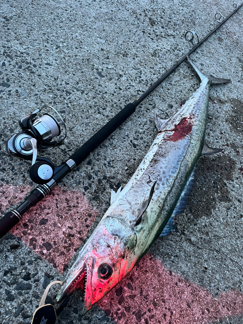 DAIWA 23ドラッガー ブレイクスルー 100HH-3の最安値・インプレ