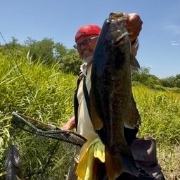 スモールマウスバス