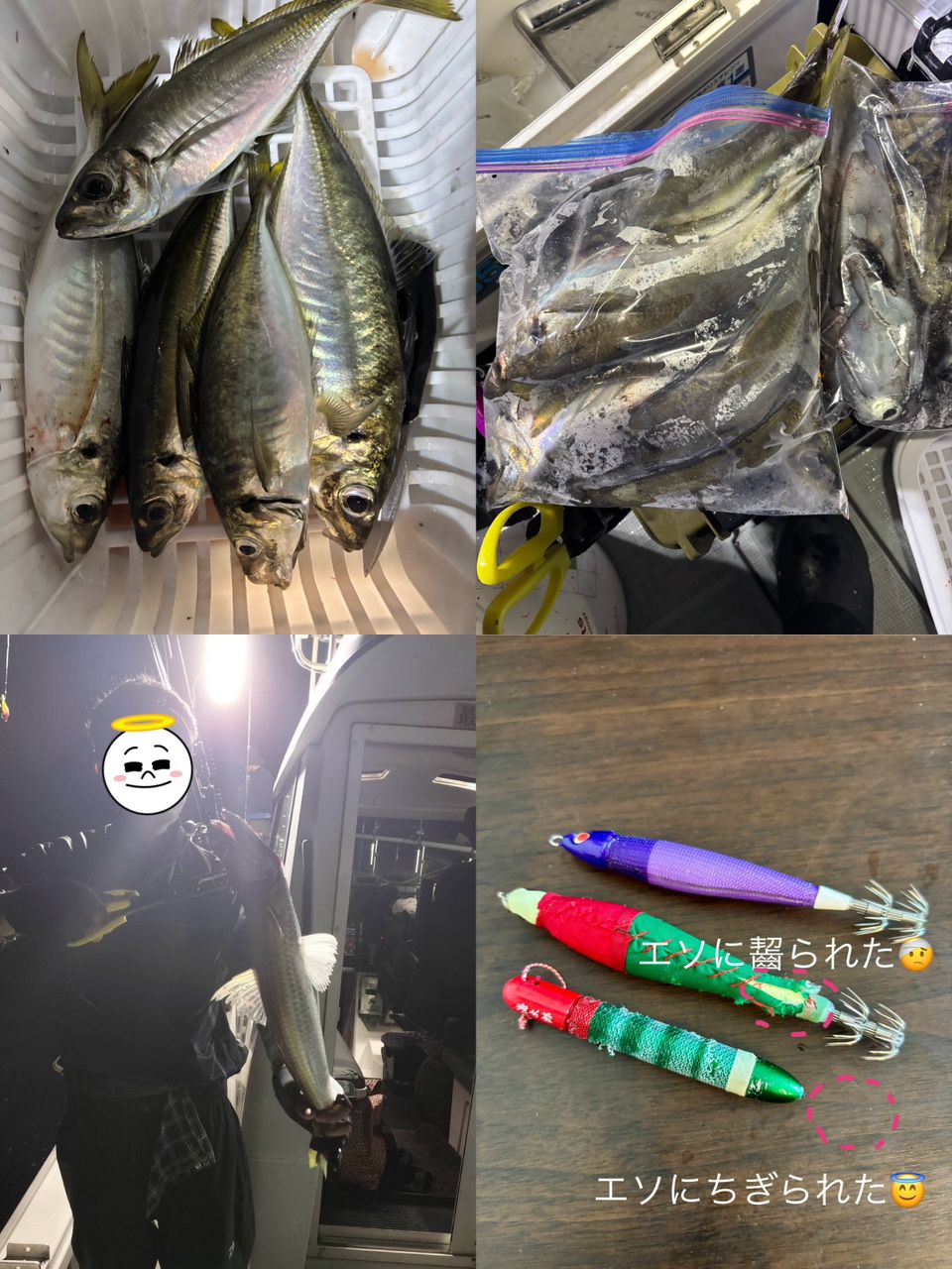 イカ次郎さんの釣果 3枚目の画像
