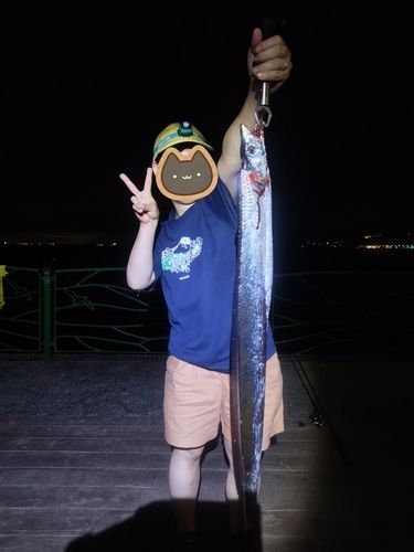 タチウオの釣果