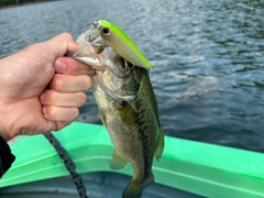 ブラックバスの釣果