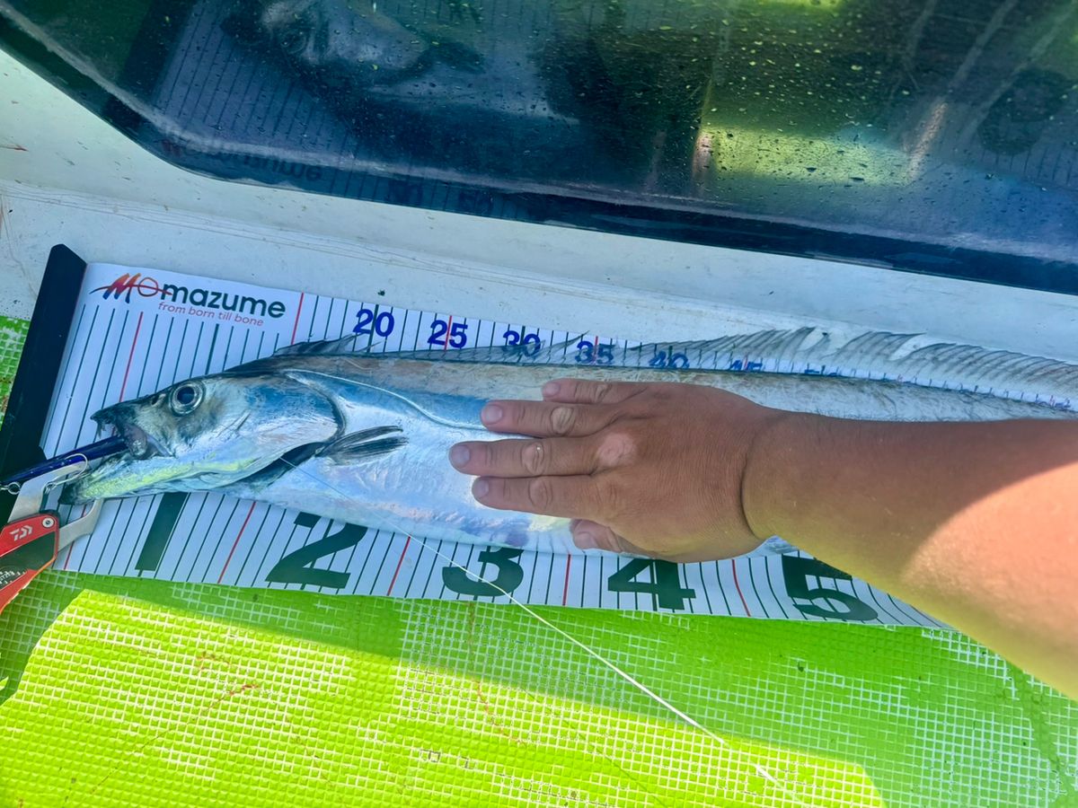 E-OSさんの釣果 2枚目の画像