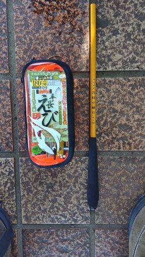 テナガエビの釣果