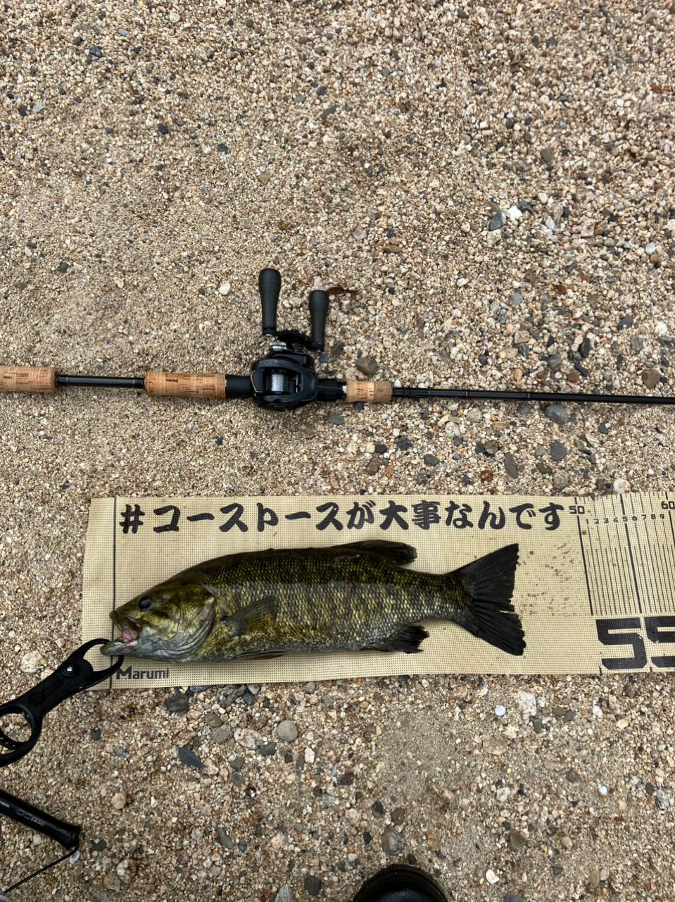 スモールマウスバス