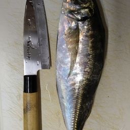 アジ