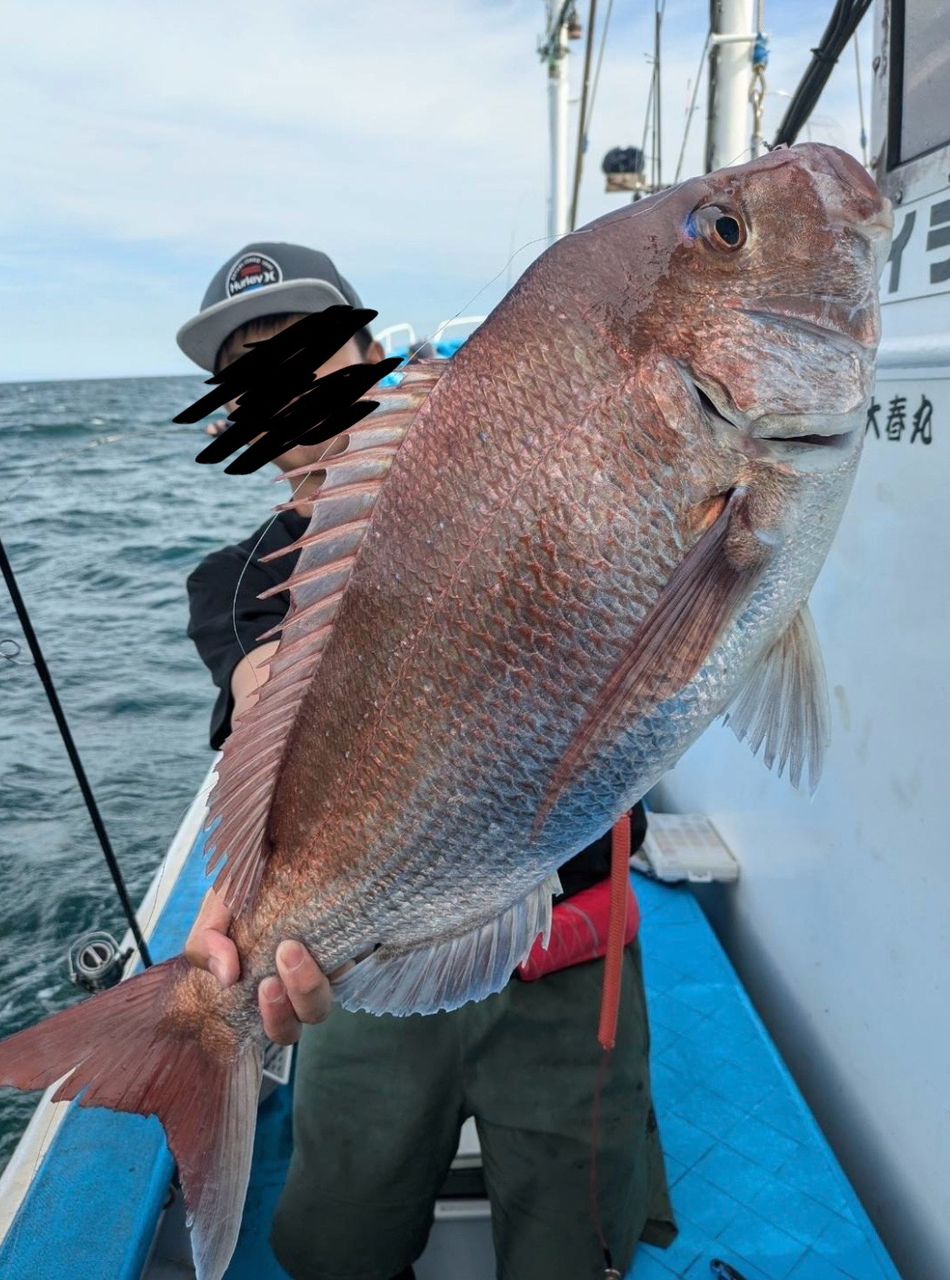 @miya827さんの釣果 1枚目の画像