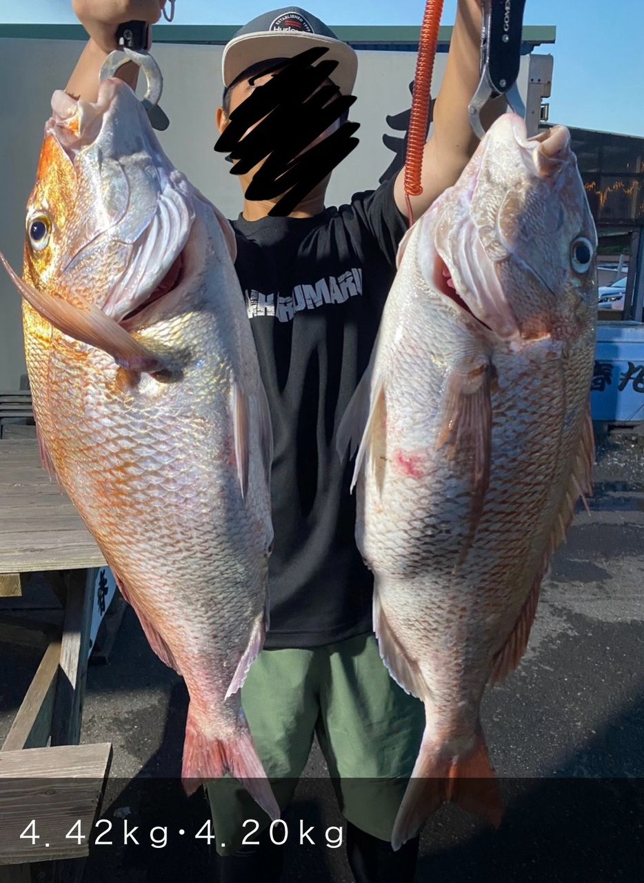 @miya827さんの釣果 2枚目の画像