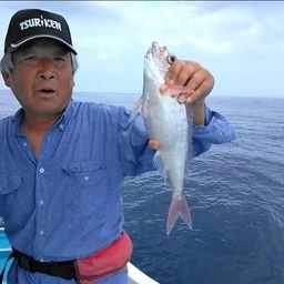 ヒメダイ