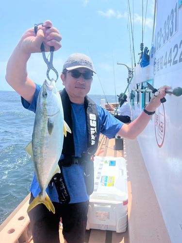 ハマチの釣果