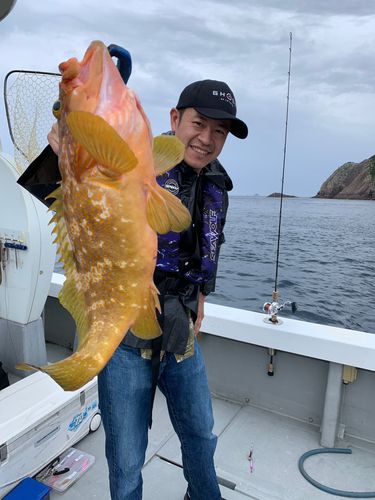 アコウの釣果