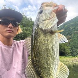 ブラックバス