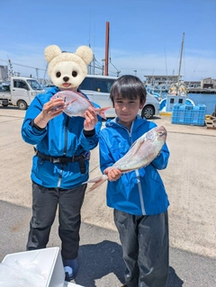 タイの釣果