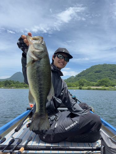 ラージマウスバスの釣果
